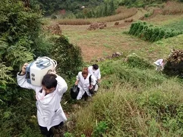 图片来源：神农架林区卫生计生委、宜昌市大堰乡卫生院