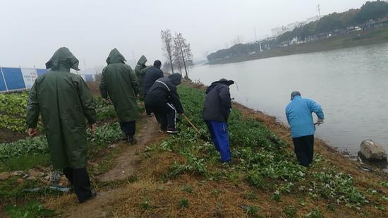 青菱一中队铲除菜地