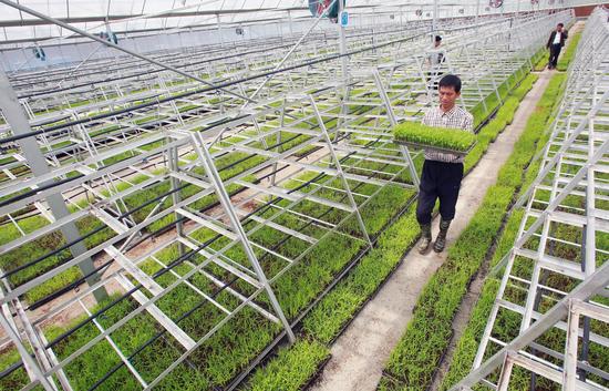 荆门出台十项农业招商政策 推出惠农强农大礼