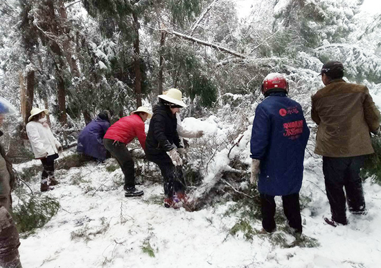 白兆山景区，公司组织员工清障除险