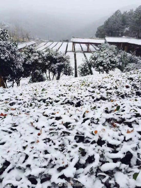 湖北多地迎初雪 你那里下雪了嗎(圖1)