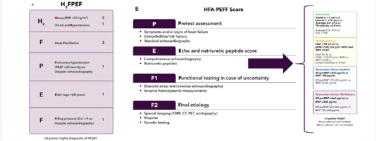 圖1 H2FPEF和HFA-PEFF評分系統
