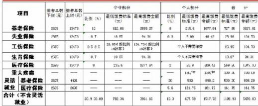 长沙市社会保险费(2017年4月1日-2017年12月31日)