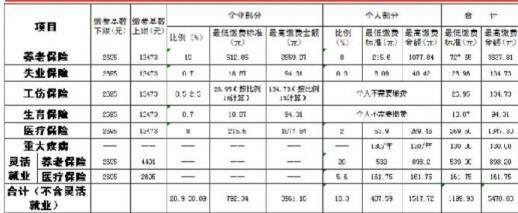 长沙市社会保险费（2017年4月1日-2017年12月31日）