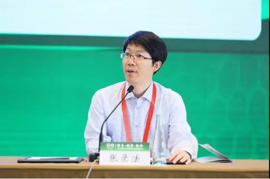 张录法 上海交通大学国际与公共事务学院副院长、健康长三角研究院执行院长