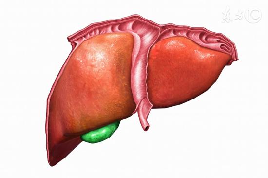 这三个症状说明肝脏出问题