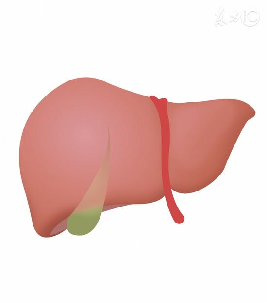 排名第一的养肝秘方