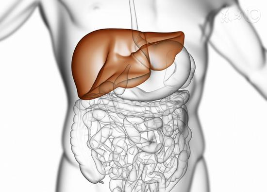 保养肝脏六大秘方|肝脏