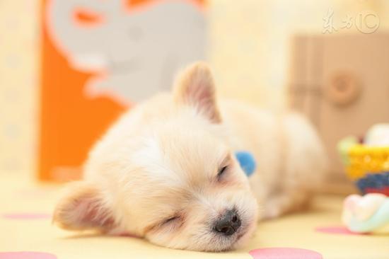 冬天睡眠才是第一大补