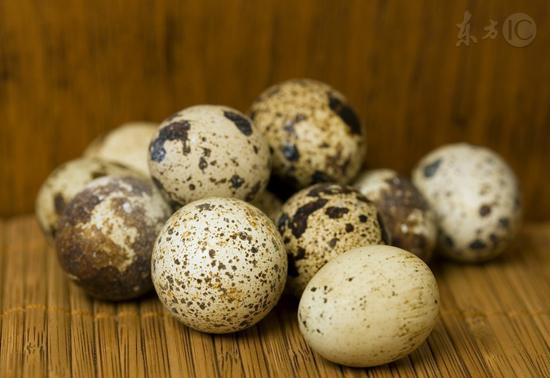 鵪鶉蛋是食補珍品 最適合孕婦調養
