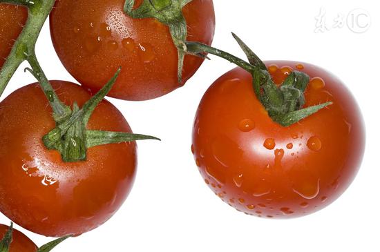 研究发现：常吃西红柿能抑制癌细胞