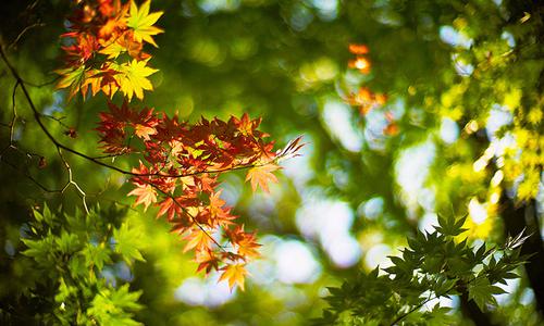 立秋以养收为原则 立秋以养收为原则