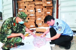点击图片查看详情 走私人口_环球时报 英破获欧洲最大人蛇集团(3)