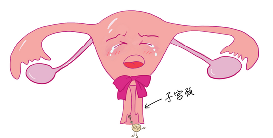84ae-4e8b8a6d9e3d34756497840cc27d0973.png