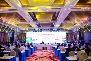 肿瘤防治，赢在整合——2021中国肿瘤学大会（CCO）在郑州召开