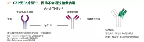 培塞利珠单抗不同TNF-α抑制剂的分子结构