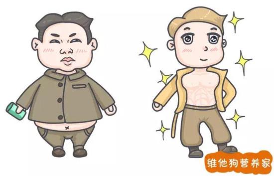 (左边“啤酒肚”,右边“公狗腰”)