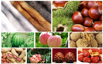 河北这些特产受国家保护