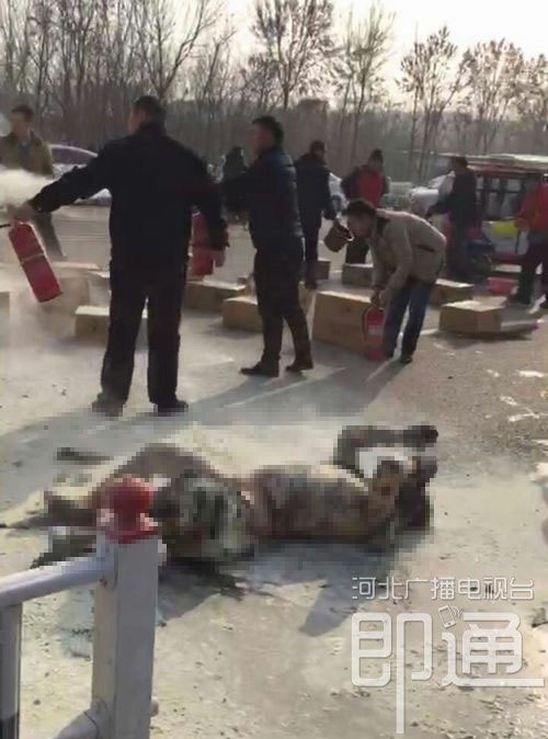 沧州:三轮车撞上轿车后起火 司机惨遭大火吞噬