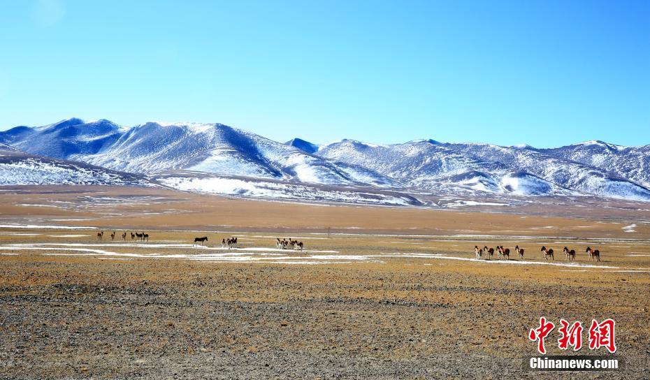 西藏最高海拔的地方是哪里 8d9f-imkzenp8370788.jpg