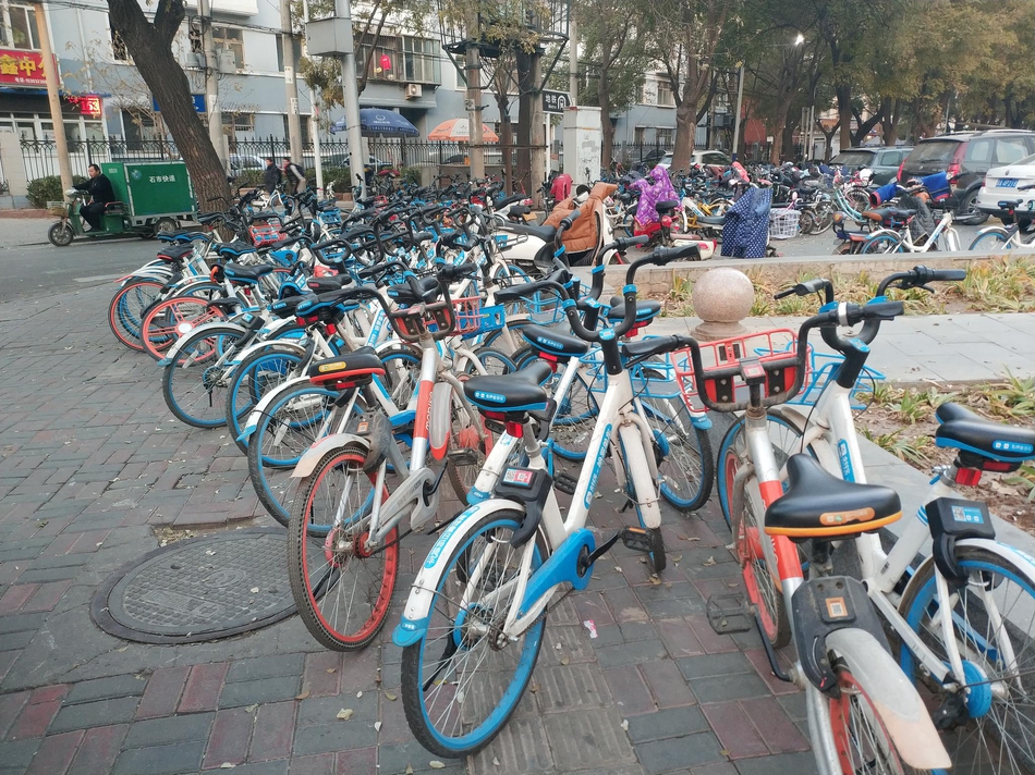 共享自行车可以随意停吗 QSBB-hphsupy3365236.jpg
