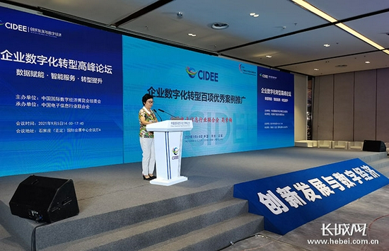 中国电子信息行业联合会秘书长高素梅发言。长城网记者 王守一 摄