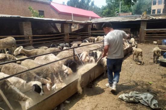  ����������˷�ƶС������ڼ������� κ�ط�ƶ�칩ͼ