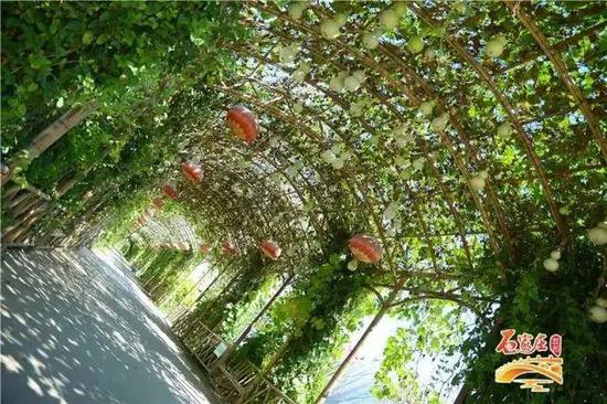 具备条件的村庄建成集中或分散的污水处理设施