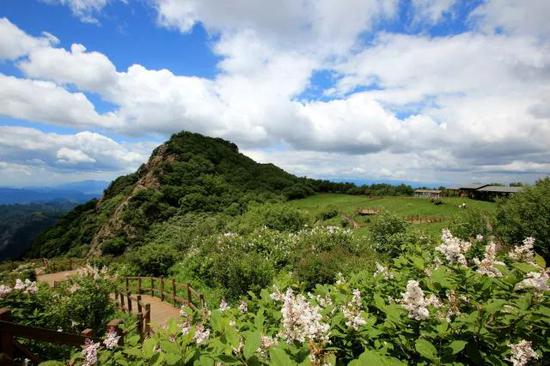 野三坡白草畔游玩攻略,野三坡白草畔风景区好玩吗