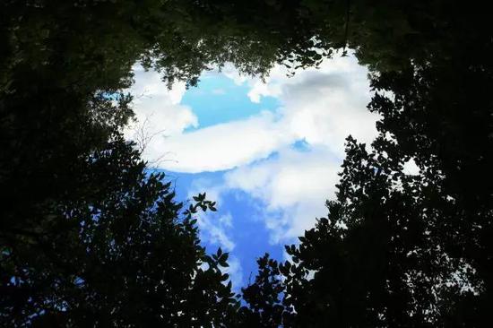 什么目远眺成语_成语故事简笔画(3)