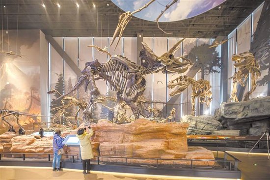 亚洲规模最大的自然科学类专题博物馆 中国古动物馆，文旅协同