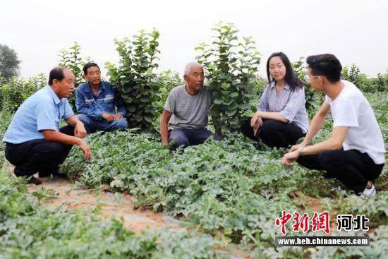 平乡县农技人员到榛子种植基地调研指导。 姚有谅 摄