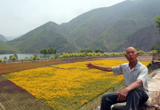 文明之美看东方丨古道长城青山秀 隘口桃林碧水悠 山水边城桃林口村二十年“印记”
