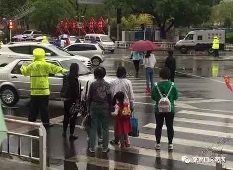 在至善街与长青路交叉路口,个别行人与车辆抢道行走。