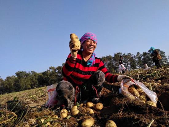 ���ű���С���������˴��ҵ�� �żҿ����ű���ί��������ͼ