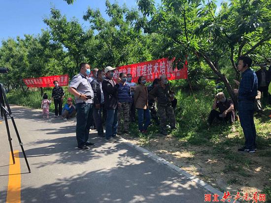 板栗专家王广鹏为栗农讲解使用除草剂的危害。贾云霞 摄