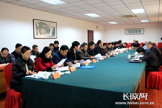 座谈会现场。长城网 高琳哲 摄
