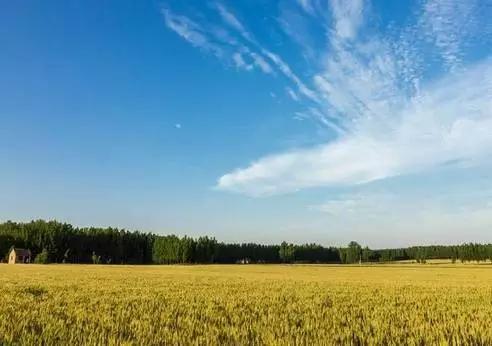 到2018年底,河北将完成权属清晰、无争议农垦国有土地确权登记发证任务