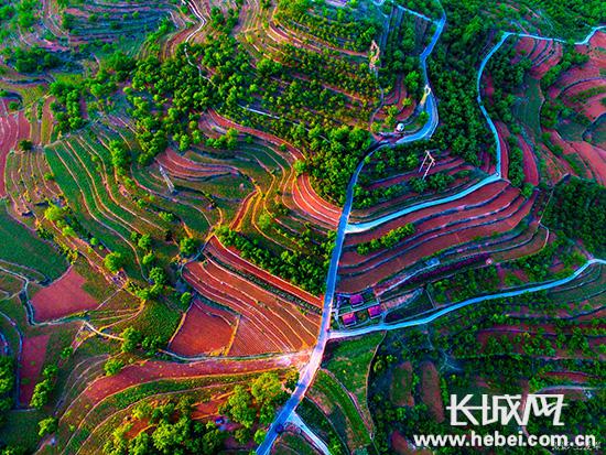 迁西花乡果巷入选全国田园综合体项目 河北唯一_新浪河北_新浪网