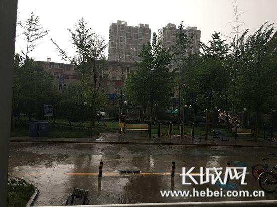 石家庄地区降中雨。李丽钧 摄