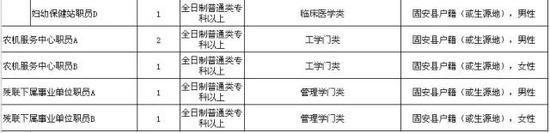 三、招聘程序及办法
