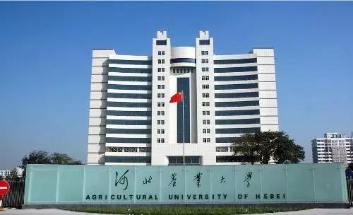 实施弹性学制
