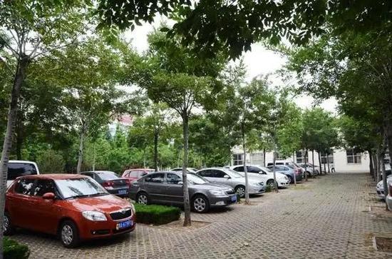 露天停车场建为林荫停车场