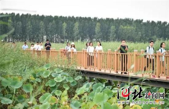9月10日,中央新闻媒体采访团赴雄安新区集中采访。 赵杰摄