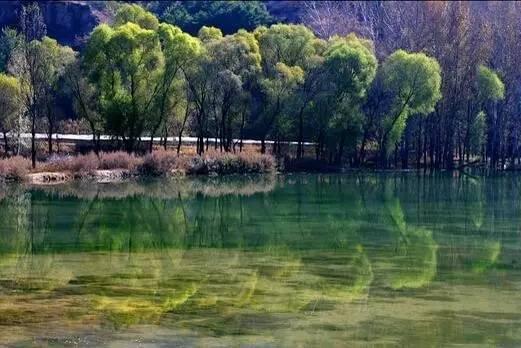 这是京津冀的驴友常去的一个秋景地。每年十月左右,这里变美成了童话,原始森林便层林浸染,白桦金黄,枫树红艳。
