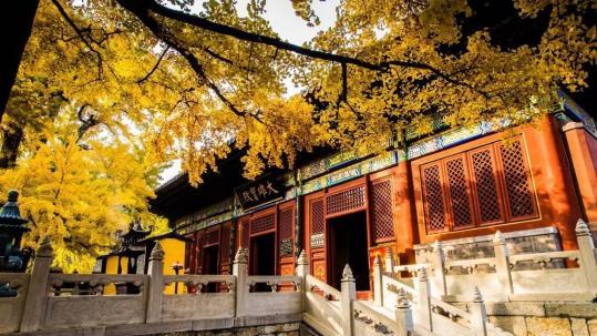 红螺山红螺寺景区位于北京市怀柔区城北5公里的红螺山南麓,距北京市区55公里,景区总面积800公顷,国家AAAA级旅游区。