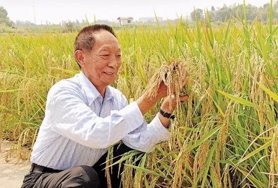 袁老说:他有两个梦,