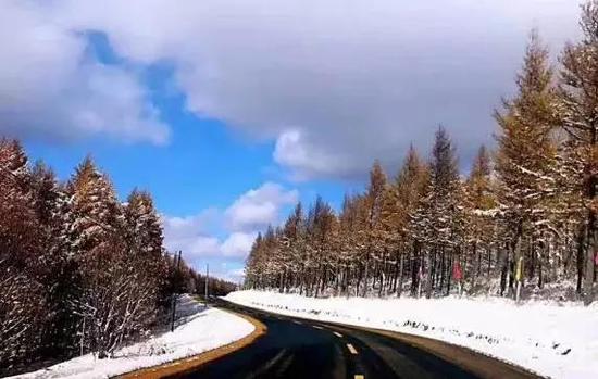 我们都知道围场境内有一个美丽的塞罕坝,但是深秋雪后的塞罕坝你一定没有见过。(张伟)