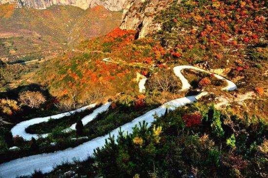 桑栈村路