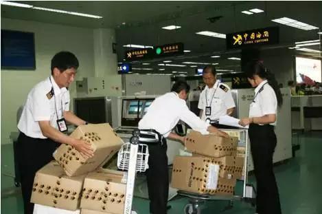 海关监管区管理新规下月实施